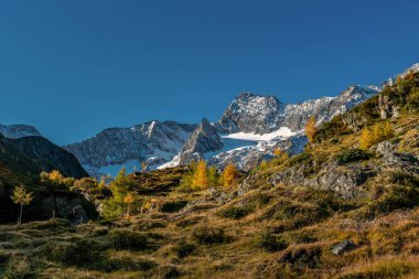 Timmelsjoch ve Texelgruppe doğa parkında yürüyüş yolu.
