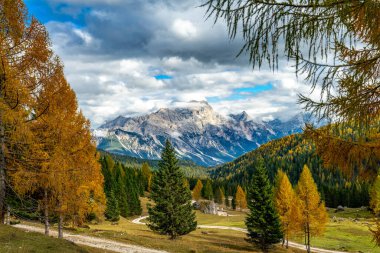Renkli bir sonbahar manzarası. Önünde sarı tarlalar var.