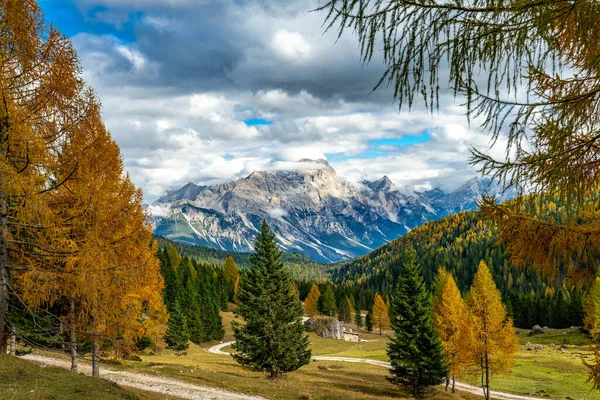 Colourful autumn panorama  with yellow larches in the foreground — Stock Photo, Image