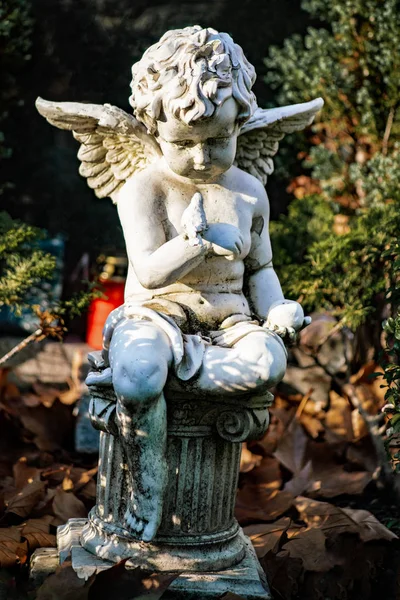 Estátua de um anjo no cemitério Tegeler Fliess, Berlim, Germe — Fotografia de Stock
