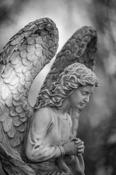 Estatua de un ángel en el cementerio Tegeler Fliess, Berlín, Germen — Foto de Stock