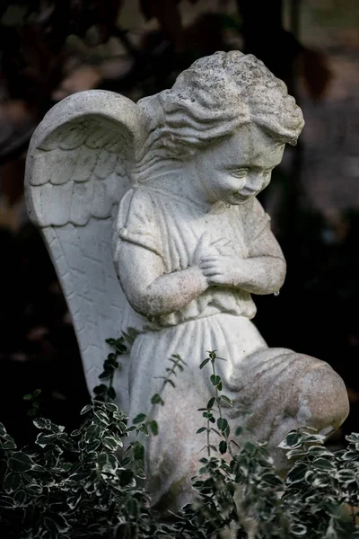 哀悼天使的雕像 — 图库照片