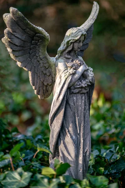 Estatua de un ángel de luto — Foto de Stock