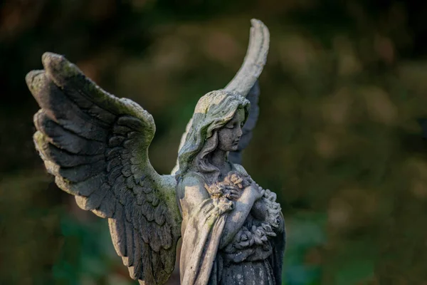 Statua di un angelo in lutto — Foto Stock