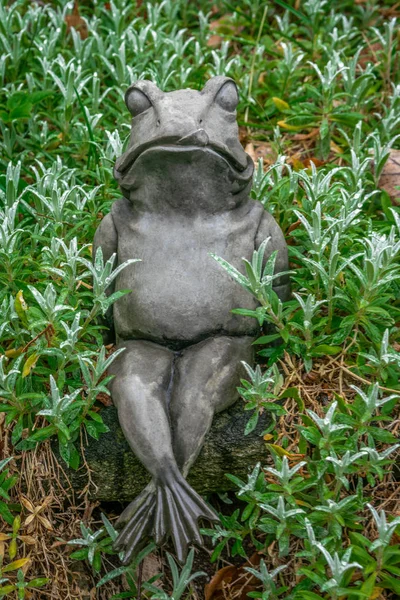 花园装饰 一只长着大肚子的石蛙 栖息在绿色的植物床上 — 图库照片