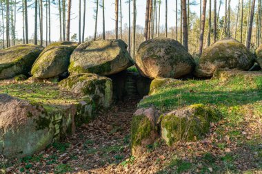 Almanya 'da Haldensleben yakınlarında tarih öncesi megalith dolmen Kuechentannen (mutfak denns)