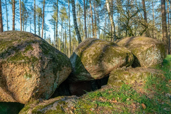 Prehistoric Megalith Dolmen Kuechentannen Kitchen Denns Haldensleben Germany — Stock Photo, Image