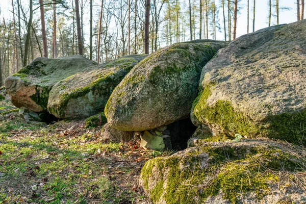 Prehistoric Megalith Dolmen Kuechentannen Kitchen Denns Haldensleben Germany — Stock Photo, Image