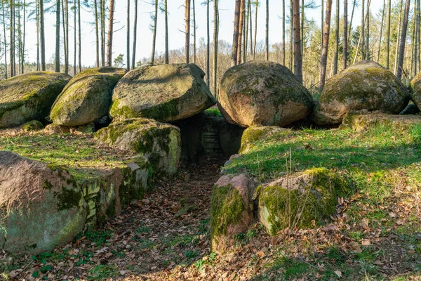 Prehistoric Megalith Dolmen Kuechentannen Kitchen Denns Haldensleben Germany — Stock Photo, Image