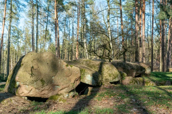 Prehistorische Megalith Dolmen Kuechentannen Keukendennen Bij Haldensleben Duitsland — Stockfoto