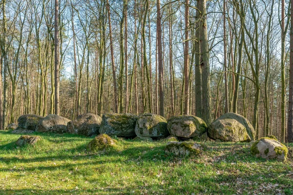 Prehistoric Megalith Dolmen Kuechentannen Kitchen Denns Haldensleben Germany — Stock Photo, Image