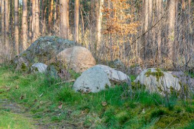 Almanya Haldensleben yakınlarındaki ünlü 