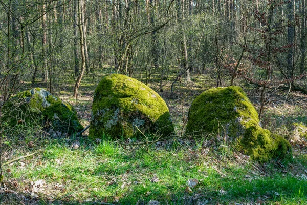 Prehistoric Megalith Stones Famous Graeberweg Haldensleben Germany — Stock Photo, Image