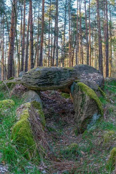 Prehistorická Megalitická Hrobka Kaisergrab Haldenslebenu Německu — Stock fotografie