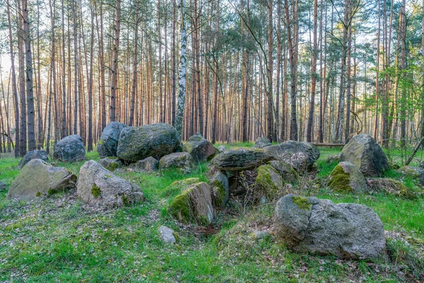 Prehistoric Megalith Tomb Kaisergrab Haldensleben Germany — Stock Photo, Image