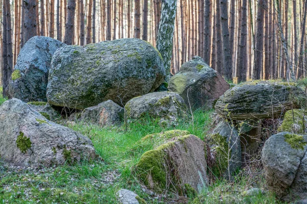 Prehistorická Megalitická Hrobka Kaisergrab Haldenslebenu Německu — Stock fotografie