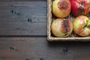 Tahta arka planda taze organik çirkin elmalarla dolu sepet. Kapat..