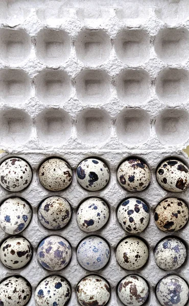 Концепція нульових відходів. крупним планом перепелині яйця викладають у коробку з переробленого, переробленого картону. концепція здорового харчування та дієти. ізольовані — стокове фото