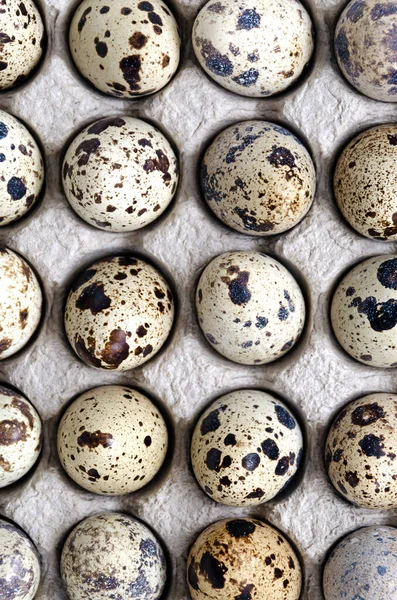 zero waste concept. close-up quail eggs are laid out in a box of recycled, recycled cardboard. concept of healthy diet food and diet. isolate. copy space