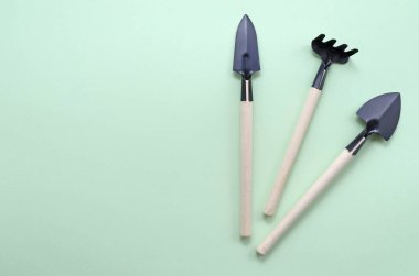 Yeşil arka planda mini bahçe aletlerinin düz yatışı en az yaratıcı kavram. Kopya alanı olan kürek ve tırmıklar. Bahçe sebze çiçekçiliği. Bitki dikiyorum. yaz mevsimi