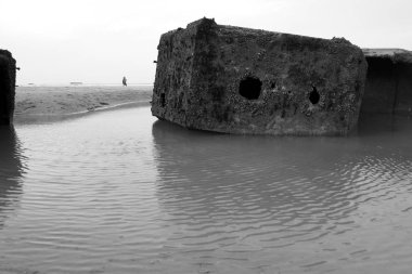 Normandiya İniş Sahilleri