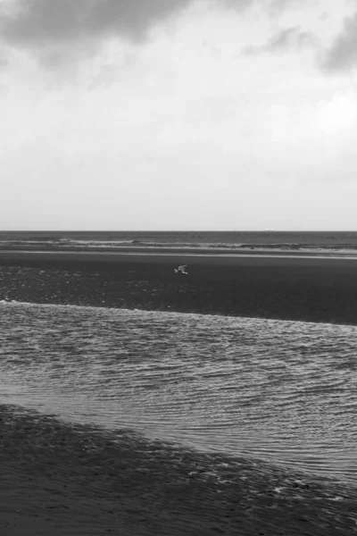 Spiagge Dello Sbarco Normandia — Foto Stock