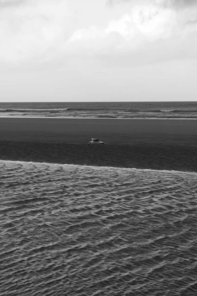 Spiagge Dello Sbarco Normandia — Foto Stock