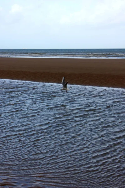 Normandy Landing Beaches — Stock Photo, Image