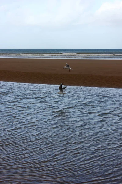 Stranden Van Normandië — Stockfoto