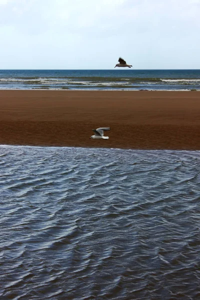 Normandy Landing Beaches — Stock Photo, Image