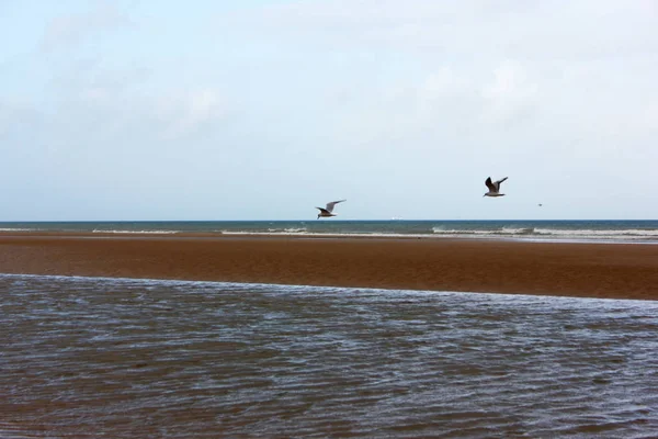 Normandy Landing Beaches — Stock Photo, Image