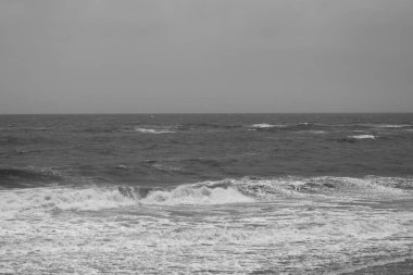 Sylt Adası 'nda bahar havası