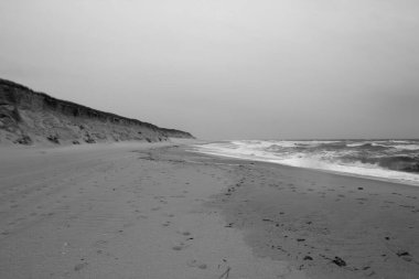 Sylt Adası 'nda bahar havası