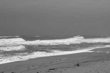 Sylt Adası 'nda bahar havası