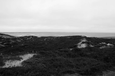 Sylt Adası 'nda bahar havası