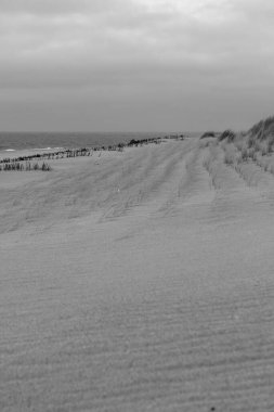 Sylt Adası 'nda bahar havası