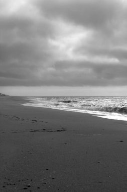 Sylt Adası 'nda bahar havası