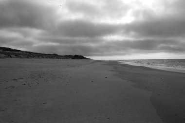 Sylt Adası 'nda bahar havası