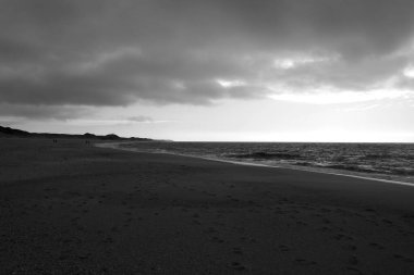 Sylt Adası 'nda bahar havası