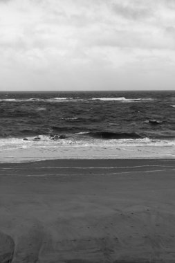 Sylt Adası 'nda bahar havası