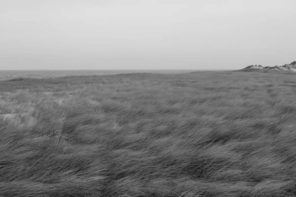 Vårstämning Sylt Island — Stockfoto