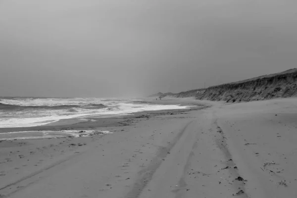 Humeur Printanière Sur Île Sylt — Photo