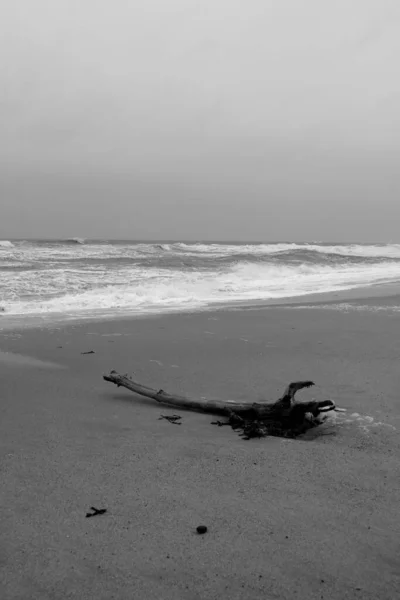 Humeur Printanière Sur Île Sylt — Photo