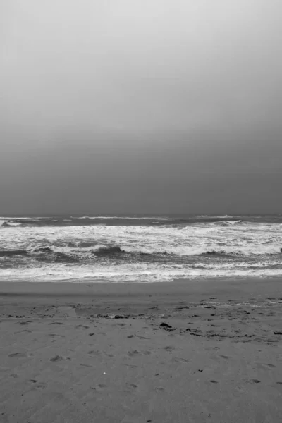 Humeur Printanière Sur Île Sylt — Photo