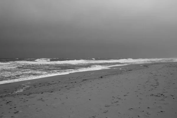 Humeur Printanière Sur Île Sylt — Photo