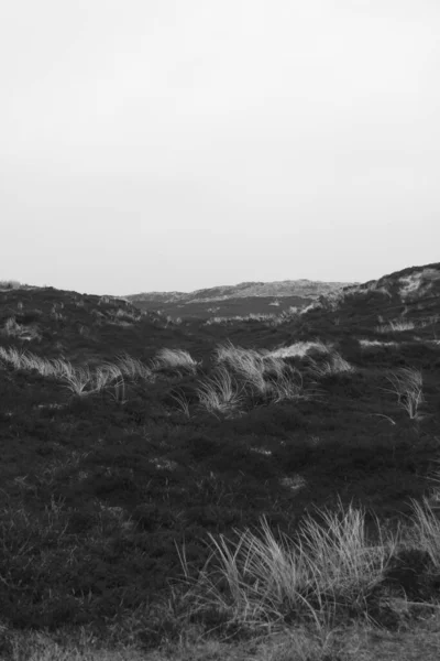 Sylt Adası Nda Bahar Havası — Stok fotoğraf