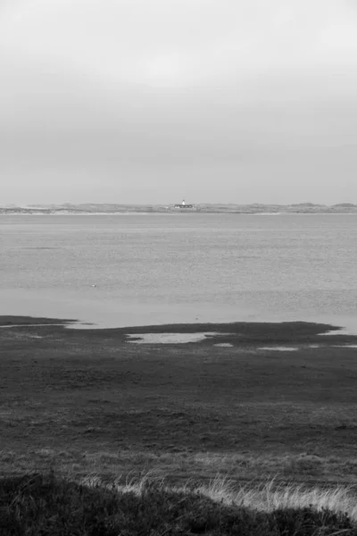 Humeur Printanière Sur Île Sylt — Photo