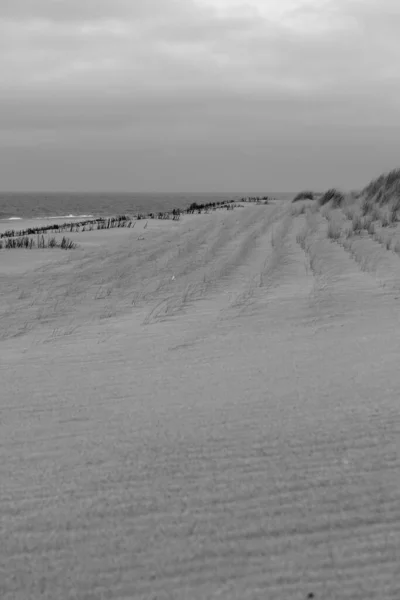 Spring Mood Sylt Isand — Stockfoto