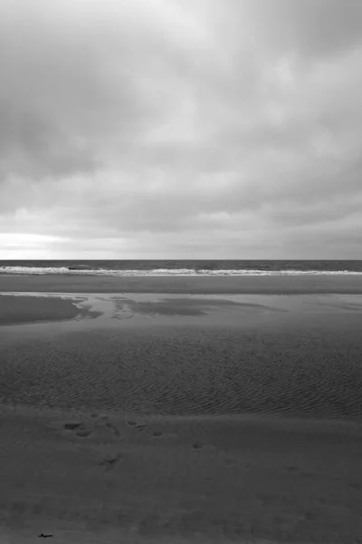 Frühlingsstimmung Auf Sylt — Stockfoto