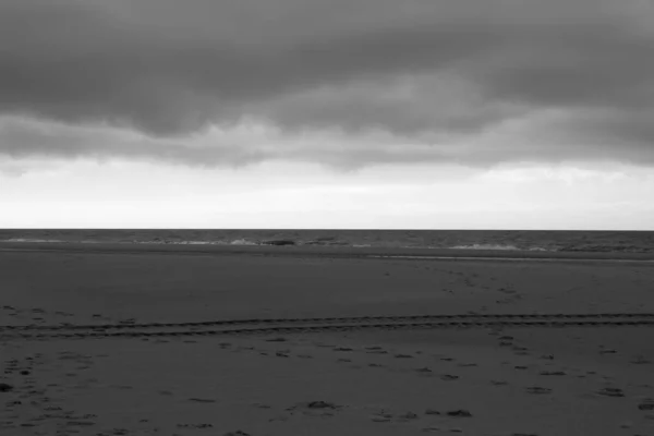 Frühlingsstimmung Auf Sylt — Stockfoto